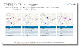 SNS解析（日本人）/（訪日外国人）